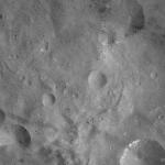 FC21A0007449_11273141114F7X.jpg