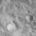 FC21A0007456_11273142307F6X.jpg