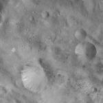 FC21A0007458_11273142320F8X.jpg