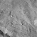 FC21A0007462_11273143452F4X.jpg