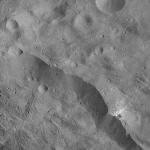 FC21A0007468_11273144632F2X.jpg