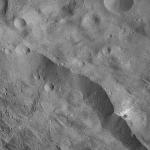 FC21A0007473_11273144714F7X.jpg
