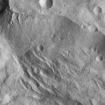 FC21A0007476_11273145832F2X.jpg