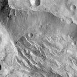 FC21A0007478_11273145849F4X.jpg