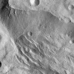 FC21A0007479_11273145858F5X.jpg