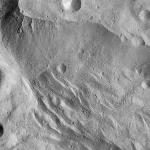 FC21A0007480_11273145905F6X.jpg