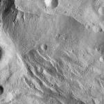 FC21A0007482_11273145920F8X.jpg