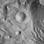 FC21A0007486_11273151043F4X.jpg