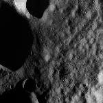 FC21A0007547_11274002816F1X.jpg
