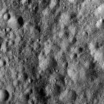 FC21A0007571_11274004716F1X.jpg