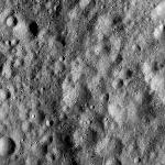 FC21A0007574_11274004738F4X.jpg