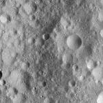 FC21A0007610_11274011005F8X.jpg