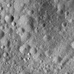 FC21A0007617_11274011530F7X.jpg