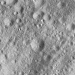 FC21A0007623_11274012043F5X.jpg