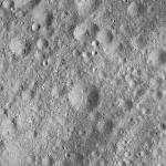 FC21A0007624_11274012051F6X.jpg
