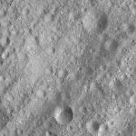 FC21A0007628_11274012553F2X.jpg