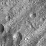 FC21A0007641_11274013157F7X.jpg