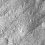 FC21A0007652_11274014229F2X.jpg
