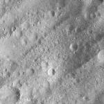 FC21A0007653_11274014236F3X.jpg