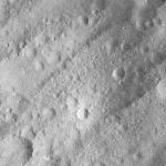 FC21A0007654_11274014242F4X.jpg