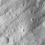 FC21A0007655_11274014248F5X.jpg