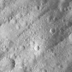 FC21A0007656_11274014255F6X.jpg