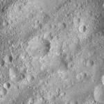 FC21A0007665_11274014831F7X.jpg