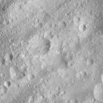 FC21A0007666_11274014837F8X.jpg