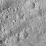 FC21A0007667_11274015316F1X.jpg