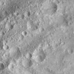 FC21A0007668_11274015322F2X.jpg
