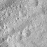 FC21A0007674_11274015405F8X.jpg