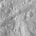 FC21A0007675_11274015846F1X.jpg
