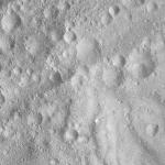 FC21A0007678_11274015907F4X.jpg