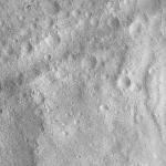 FC21A0007684_11274020422F2X.jpg