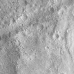 FC21A0007685_11274020428F3X.jpg