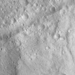 FC21A0007686_11274020435F4X.jpg