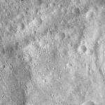 FC21A0007689_11274020455F7X.jpg