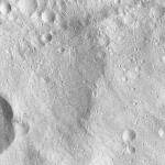 FC21A0007695_11274021015F5X.jpg
