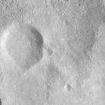 FC21A0007700_11274021522F2X.jpg