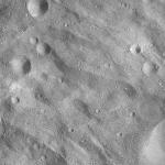 FC21A0007737_11274025504F7X.jpg