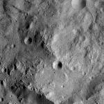 FC21A0007772_11274035424F2X.jpg