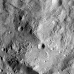 FC21A0007775_11274035444F5X.jpg
