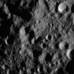 FC21A0008081_11275004732F7X.jpg