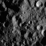 FC21A0008082_11275004744F8X.jpg