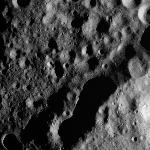 FC21A0008087_11275005513F5X.jpg