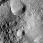 FC21A0008129_11275012759F7X.jpg