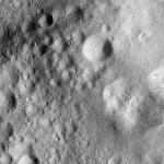 FC21A0008134_11275013309F4X.jpg