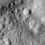 FC21A0008137_11275013332F7X.jpg