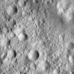 FC21A0008142_11275013837F4X.jpg