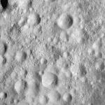 FC21A0008154_11275014431F8X.jpg